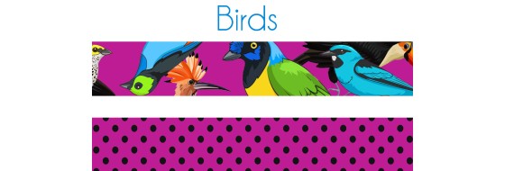 Birds